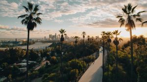 a beginners guide to beverly hills acb2b9f