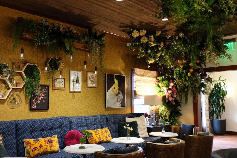 at this la jolla boutique hotel drinking is actually good for you 2759c3e