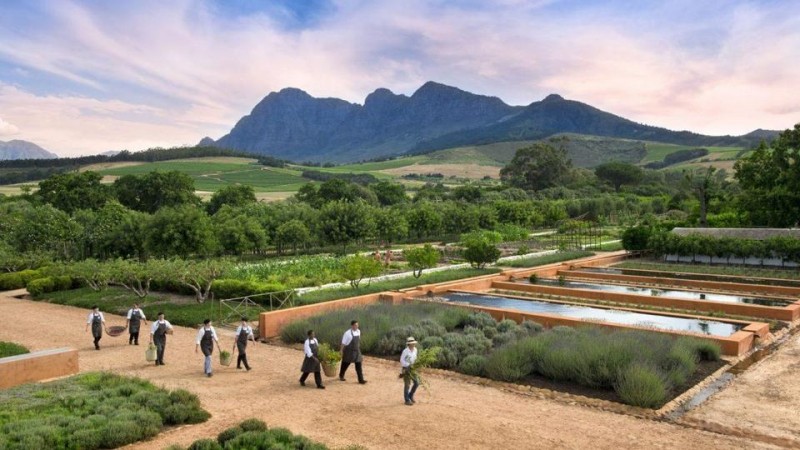 Babylonstoren: Why It’s The Best Hotel In South Africa’s Winelands