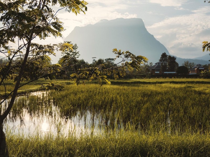 Bangkok Chefs Gather To Raise Funds For Meals For Myanmar
