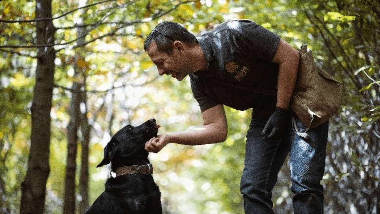 Father’s Day Gift Guide 2025: The Best Travel Experiences You Can Book With Hotel Points