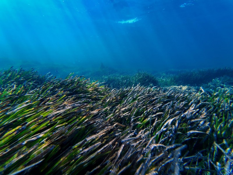 Formentera: The Balearic Island That Is Only 30 Minutes From Ibiza