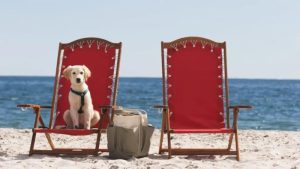 head to these hotels on the coast of maine this summer d46d0c8
