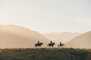 how a new zealand resort is pushing the boundaries of sustainability 472a3d6