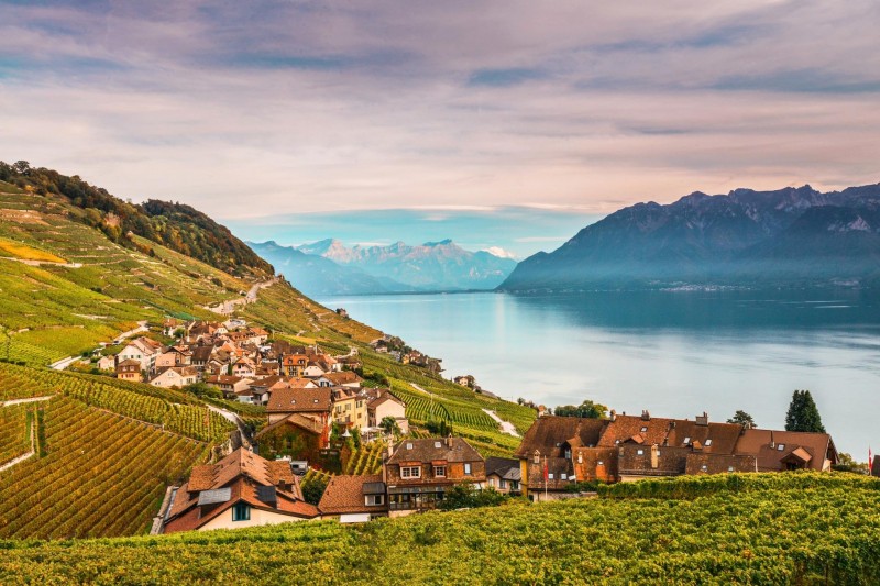 lake genevas terraced lavaux vineyards gaining deserved notice f0442e1