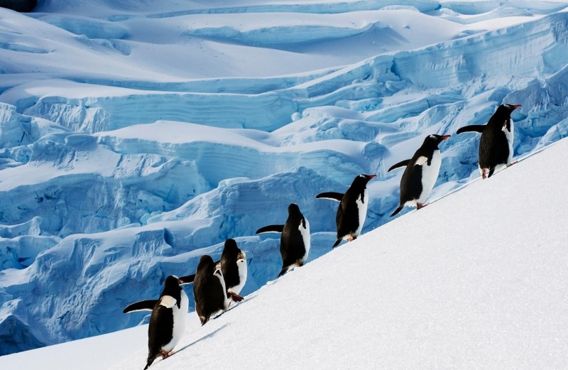 Looking For A New Adventure? Let This Award-Winning Travel Company Create Your Dream Trip