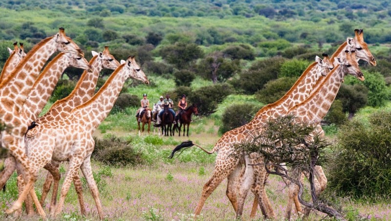 Looking For A New Adventure? Let This Award-Winning Travel Company Create Your Dream Trip