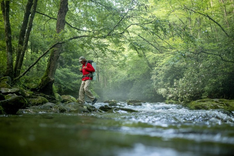 National Parks Battle For Bragging Rights