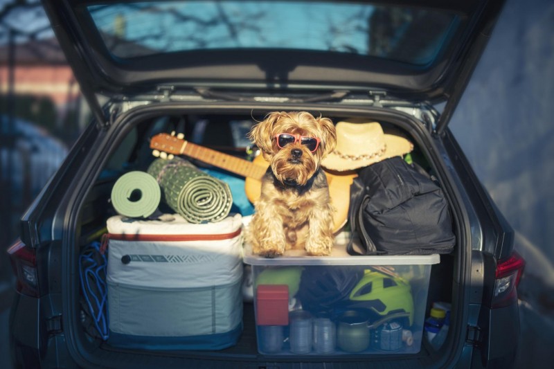 summer road trip essentials 7 must have items for your next adventure 531a57e