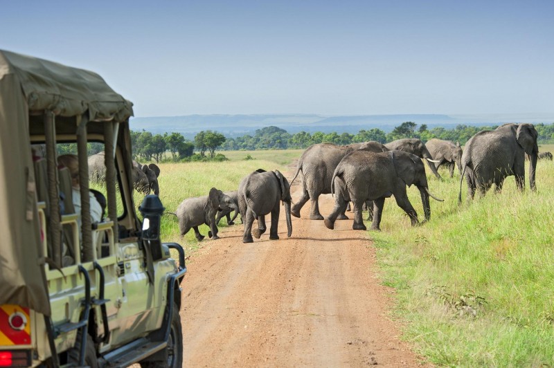 the changing landscape of safaris in tanzania f76d2a7