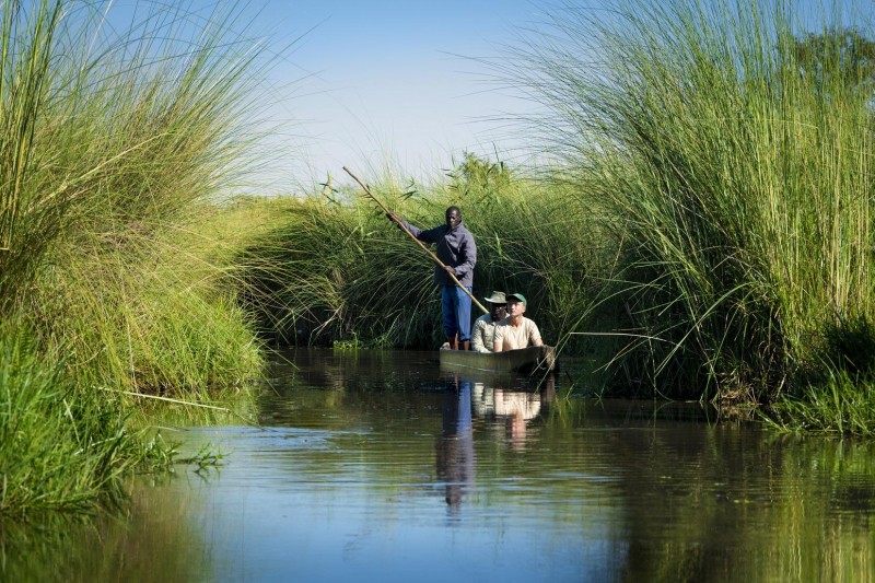 This New Ultra-Luxury Safari Camp In Botswana Is One of Africa's Best
