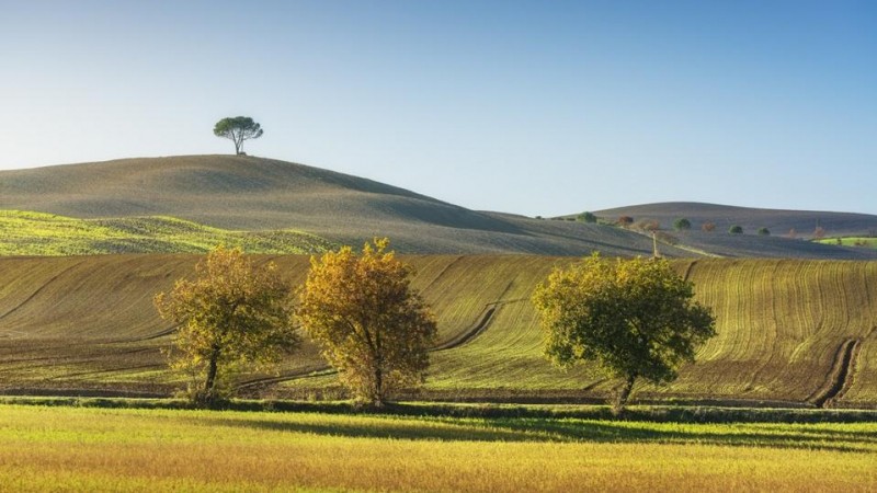 Tourism For The Soul: Eight European Pilgrimage Routes And Ancient Trails