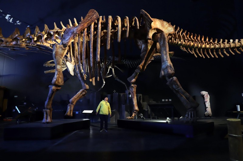 Unearth Dinosaur Fossils On Global Digs With Dinosaur Trips