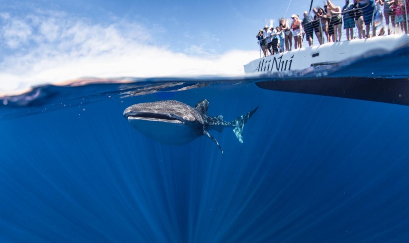 Wellness Meets Adventure: 4 Luxe Ocean Escapes With Year-Round Watersports