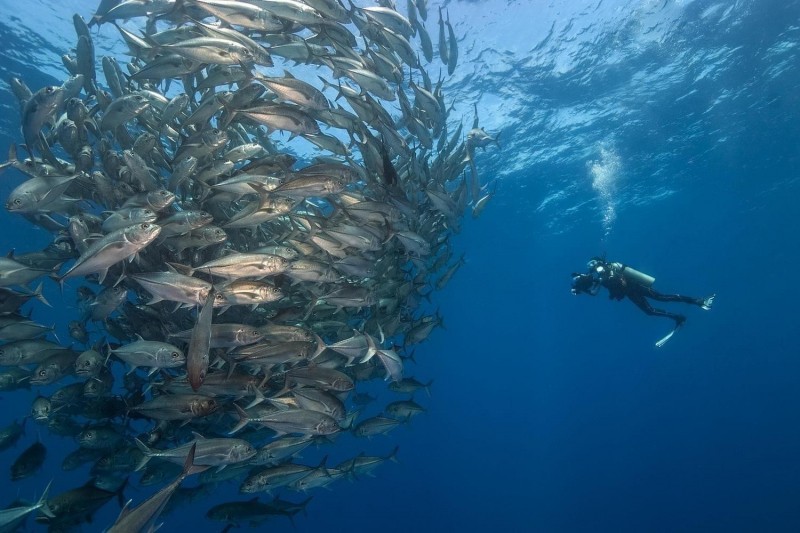 When Every Day Is World Ocean Day: The Call To Underwater Exploration