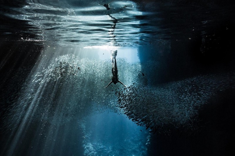 When Every Day Is World Ocean Day: The Call To Underwater Exploration