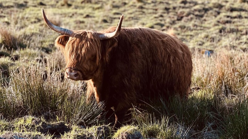 where to go amazing tours for solo travelers 2d9d288