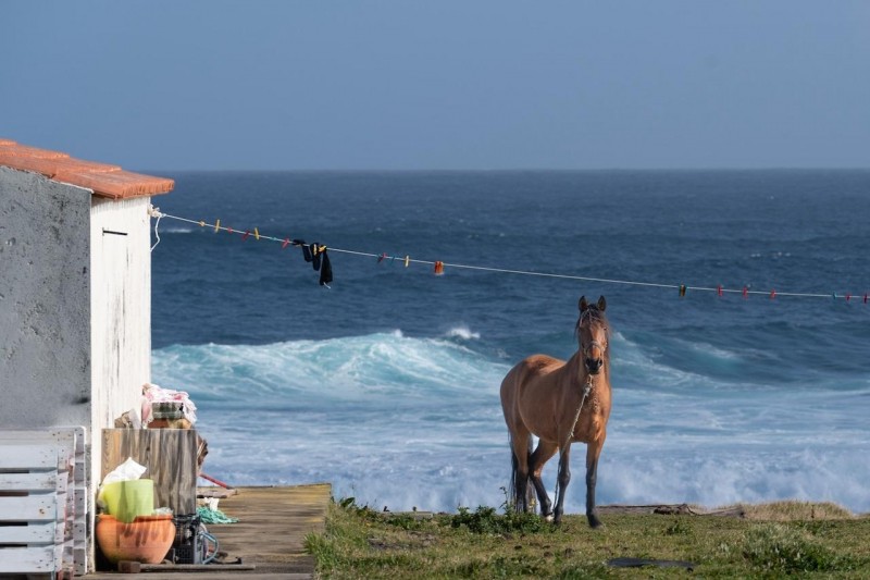 Why Now Is The Time To Sail The Azores, In 12 Stunning Photos