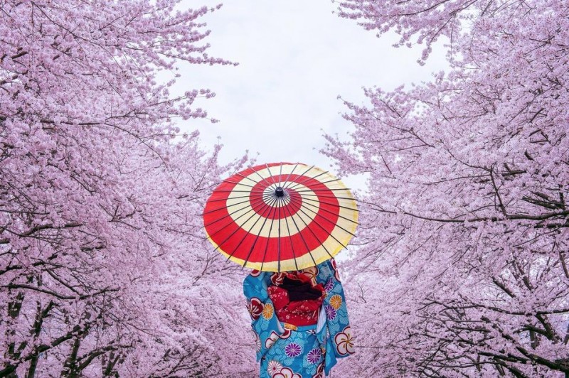 10 Must-Know Japan Travel Tips for First-Time Visitors