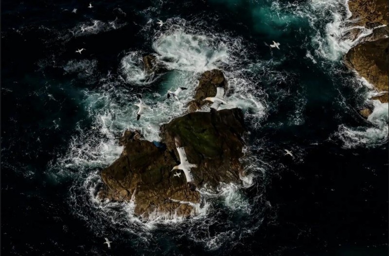 12 Beautiful Winners Of The U.N. World Oceans Photo Competition