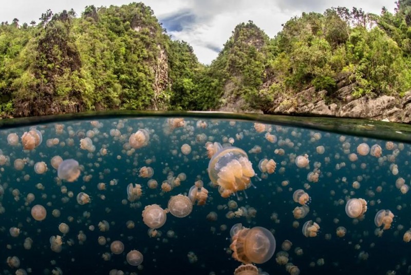 12 Beautiful Winners Of The U.N. World Oceans Photo Competition
