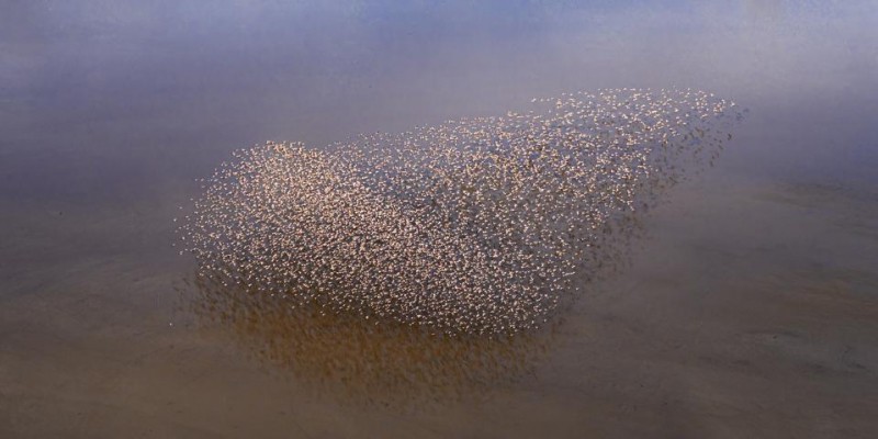20 Amazing Winners Of International Aerial Photography Contest