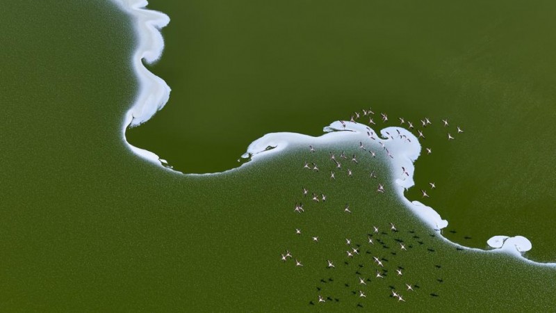 20 Amazing Winners Of International Aerial Photography Contest