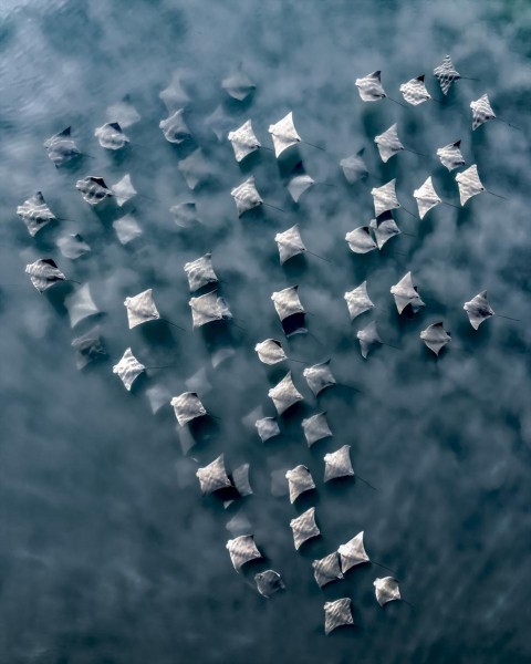 20 Amazing Winners Of International Aerial Photography Contest