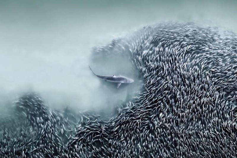 20 Amazing Winners Of International Aerial Photography Contest