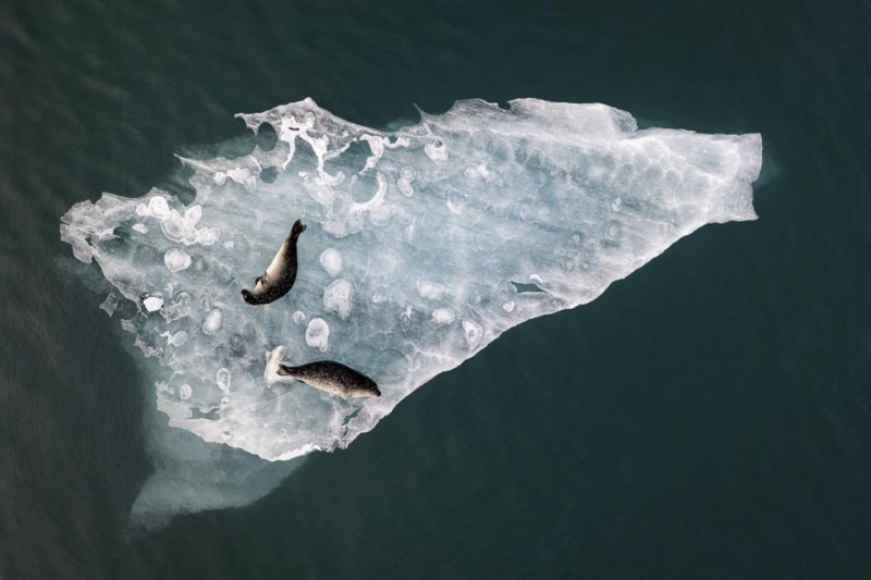 20 Amazing Winners Of International Aerial Photography Contest