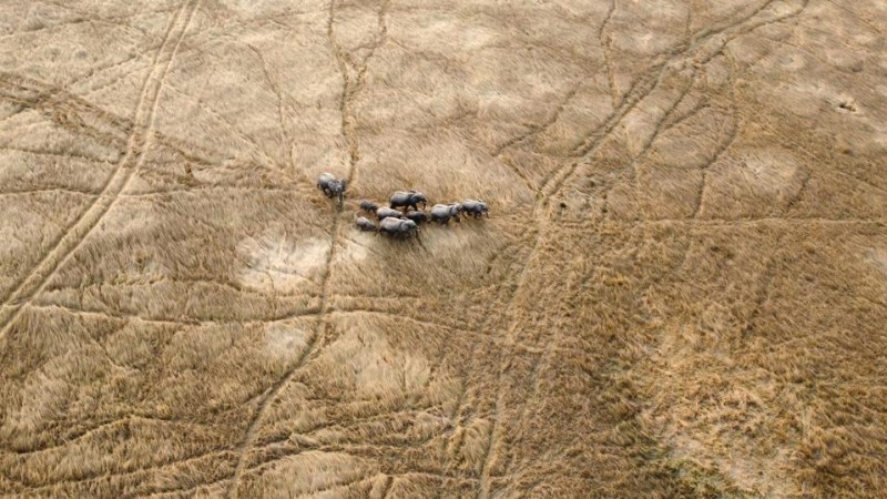 20 Amazing Winners Of International Aerial Photography Contest