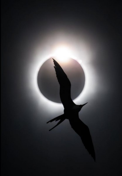 20 Great Wildlife Photos To Vote For Your Favorite In The Win BigPicture Contest