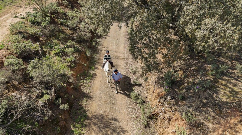 At Spain’s Finca La Bobadilla, Modern Luxury Meets Timeless Traditions