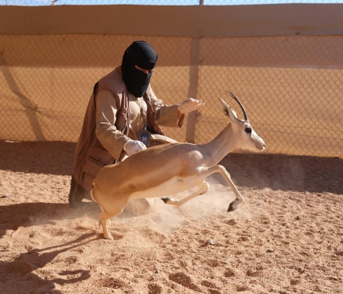 How Global Women Rangers Are Conserving Nature For Future Generations