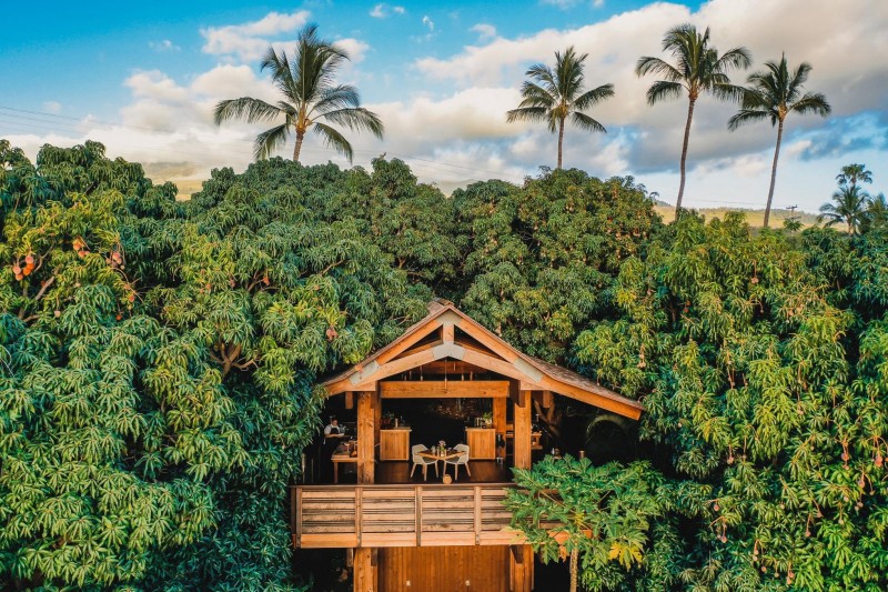 Inside Maui’s Adults-Only Hotel Wailea: Serenity And Exquisite Cuisine