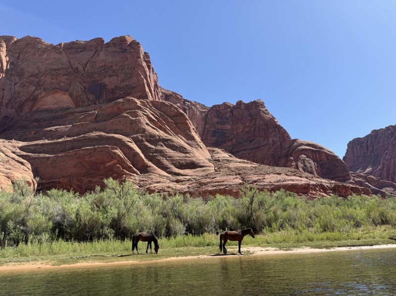 Marble Canyon Is The Center Of Everything In The Middle Of Nowhere