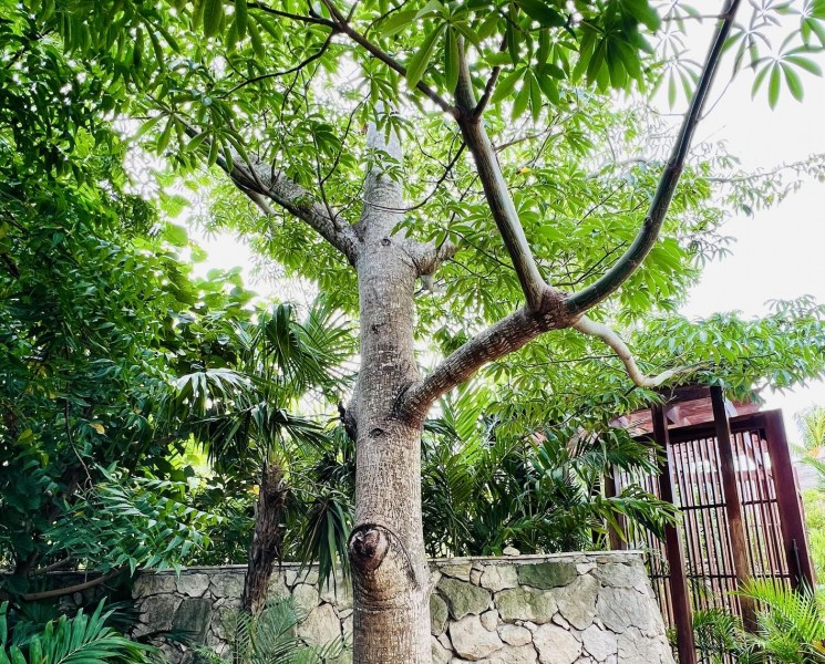 Paradise Awaits At Hilton Cancun, A Family Friendly All-Inclusive Resort