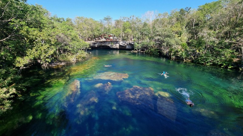 Plunge Into These 3 Refreshing Cenotes On Your Next Mexican Adventure