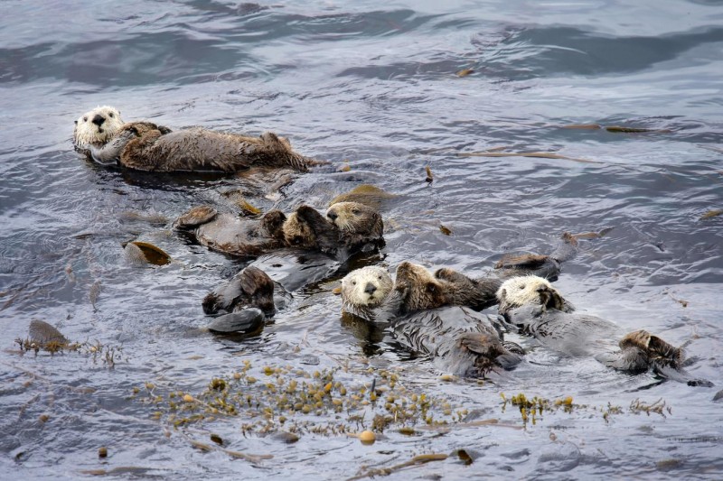 This Coastal California City Makes A Great ‘Coolcation’