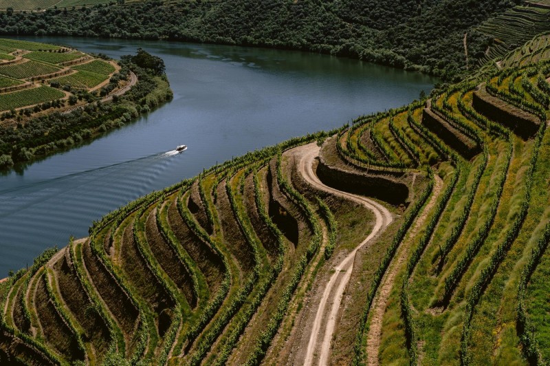 Why A Douro River Cruise Is The Best Way To See Portugal