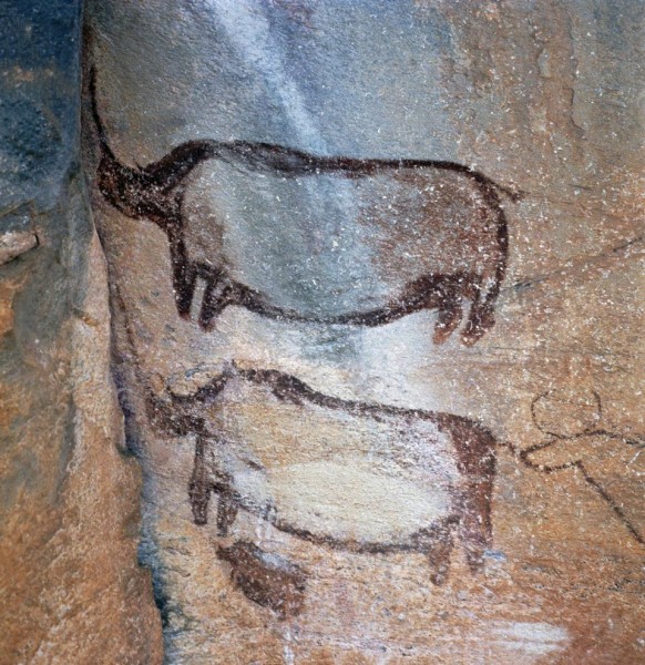 Why You Should Visit Botswana’s Tsodilo Hills, A Timeless Outdoor Rock Art Museum