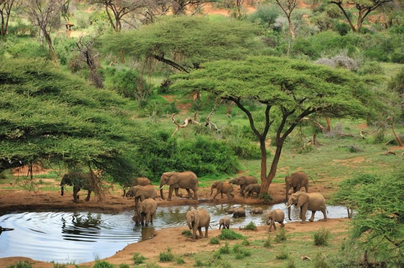 5 Jeep-Free African Safari Adventures You Did Not Know Existed