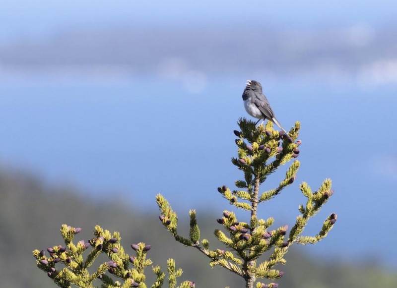 Birding As A Tourism Promotion Continues To Take Flight