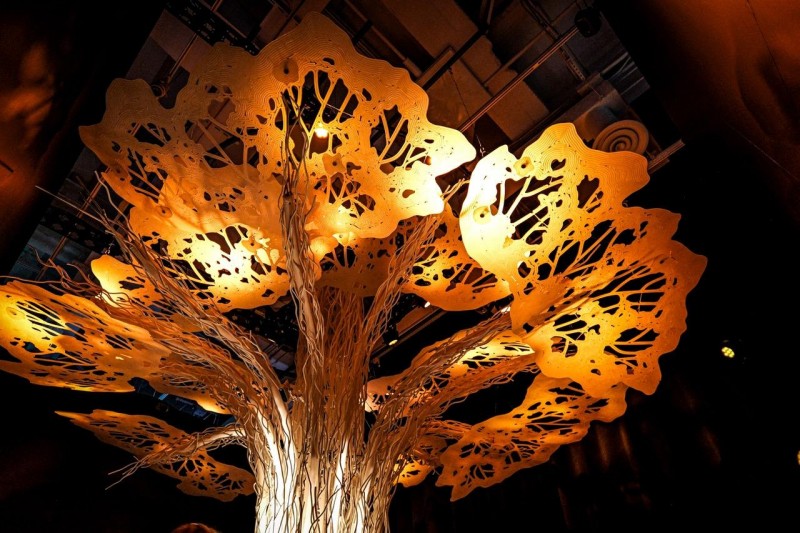 Family Travel To Ottawa: Discover History, Culture, And Outdoor Adventures In Canada’s Charming Capital