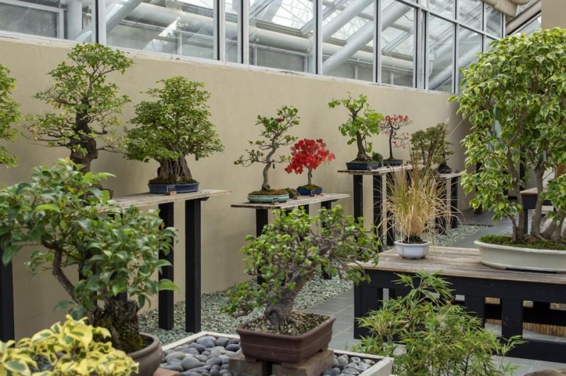 Here’s What To Do In New York City During The US Open