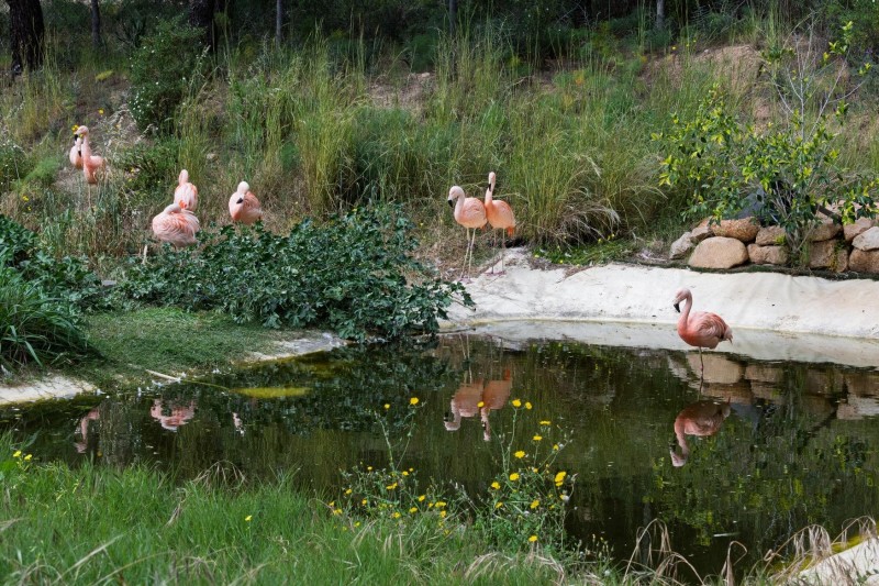 Inside Forte Village, Sardinia’s Ultimate Luxury Resort Destination