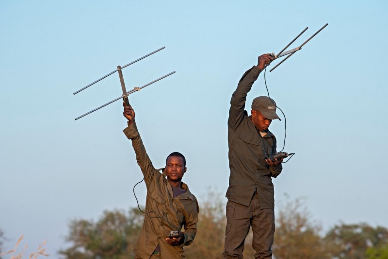 Nsumbu National Park—A Zambian Wilderness Reborn