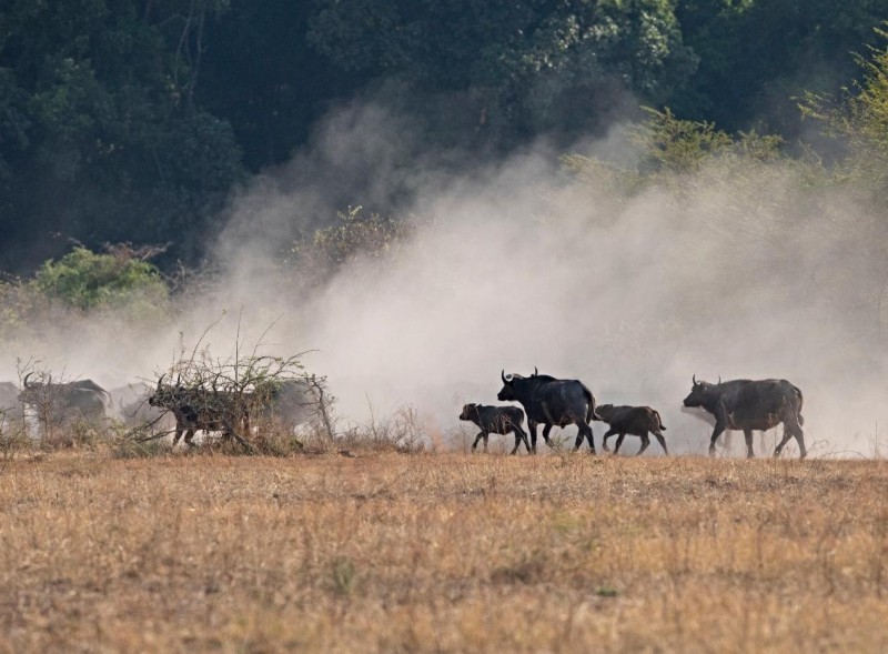 Nsumbu National Park—A Zambian Wilderness Reborn