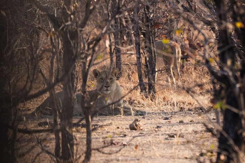 Nsumbu National Park—A Zambian Wilderness Reborn