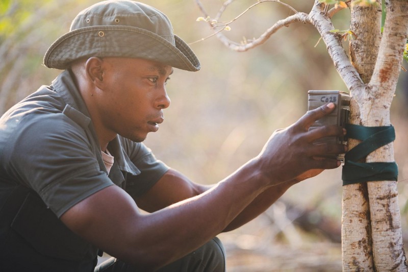 Nsumbu National Park—A Zambian Wilderness Reborn